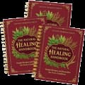 3X The Natural Healing Handbook