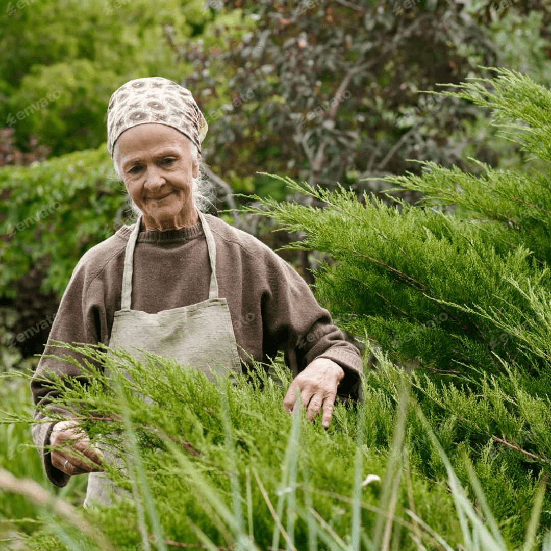 Herbalist consulting with a client in a calm clinic setting