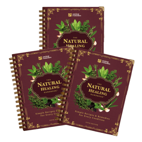 3X The Natural Healing Handbook